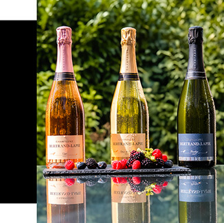 Nos champagnes