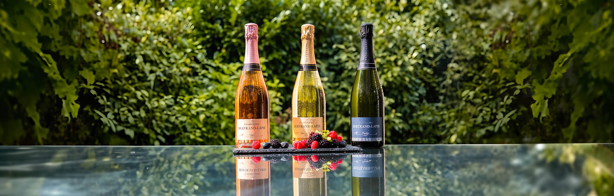 Champagne Bertrand-Lapie