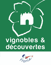 Vignoble et decouverte
